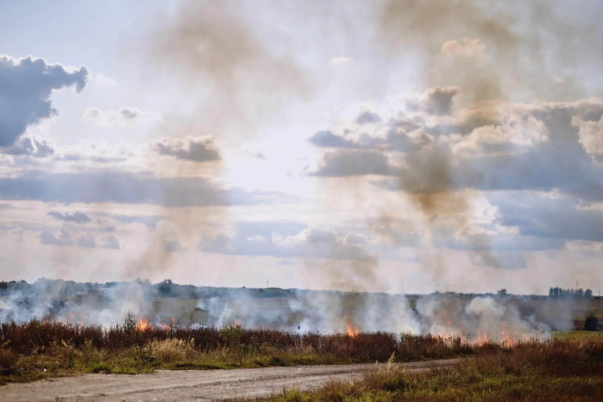 Altmunition fordert Feuerwehren bei Waldbränden