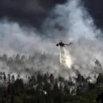 Waldbrandbekämpfung im Fokus der Tagung "Nationaler Waldbrandschutz"