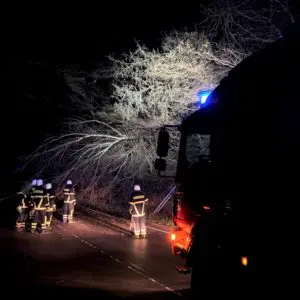 Umstürzender Baum: 3 Einsatzkräfte verletzt