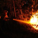 Erste Vegetationsbrände eine deutliche Warnung