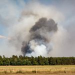 Waldbrände in NRW - erst der Anfang?