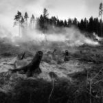 Waldbrandexperte fordert umfangreichen Maßnahmenkatalog