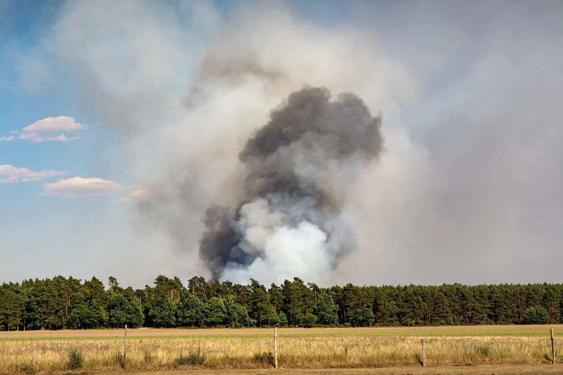 Starke Rauchentwicklung bei einem großen Waldbrand, Symbolbild