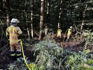 FW Xanten: Bodenfeuer im Wald und Brand in einer Gaststätte