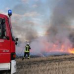 FW Celle: Städteübergreifende Übung in Hustedt – Feuerwehren aus Hustedt und Eversen üben Vegetationsbrandbekämpfung!
