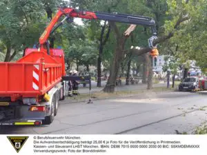 FW-M: Baum liegt auf Stromleitung (Haidhausen)