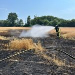 FW-BO: Flächenbrand in Langendreer