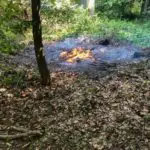 FW Wachtberg: Vegetationsbrände am Wachtberg und am Rodderberg
