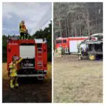 FW-ROW: Grashäcksler steht in Vollbrand - Feuer droht auf Waldstück überzugreifen