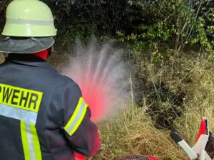 FW Flotwedel: Erneuter Flächenbrand ruft die Feuerwehr Eicklingen auf den Plan
