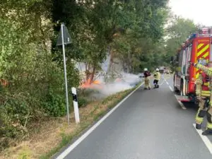 FW Lehrte: 2 Flächenbrände und ein Waldbrand im Stadtgebiet Lehrte