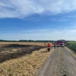 FW-ROW: Feuerwehren verhindern größeren Flächenbrand