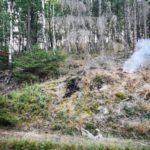 FW-PL: Entstehungsbrand im Waldgebiet Silberg