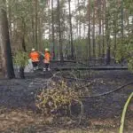 FW Lüchow-Dannenberg: +++Vegetationsbrand in Lüchow-Dannenberg+++Großeinsatz mit ca. 250 Feuerwehrkräften+++Brand schnell unter Kontrolle+++