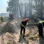 FW-BN: Waldbrandeinsatz in Südfrankreich