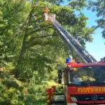 FW Sonsbeck: Baum auf Fahrbahn in Labbeck