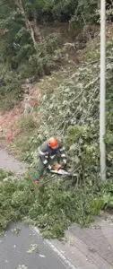 FW-EN: Wetter – Umgestürzter Baum auf der Hagener Straße