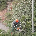 FW-EN: Wetter - Umgestürzter Baum auf der Hagener Straße