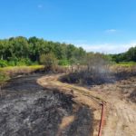 FW VG Asbach: Flächenbrand bei Jungfernhof / 2.000 Quadratmeter Gebüsch und Wiese brennen