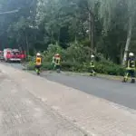 FW-ROW: Umgestürzter Baum vor dem Naturbad Zeven