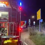 FW Horn-Bad Meinberg: Zugunfall mit Personenschaden bestätigt sich nicht - Rehbock tödlich verletzt