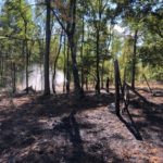 FW-Schermbeck: Nachlöscharbeiten Waldbrand