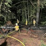 FW Grevenbroich: Größerer Waldbrand durch schnelles Eingreifen der Feuerwehr verhindert / Waldbrandgefahr steigt noch - Hinweis auf Rauchverbot im Wald