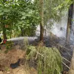 FW Celle: Waldbrand in Groß Hehlen