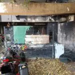 FW-BN: Feuer drohte auf Nachbarwohnungen überzugreifen