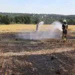 FW-E: Feuerwehr löscht mehrere Flächenbrände - rund 1000 Quadratmeter Fläche brennen im Westviertel
