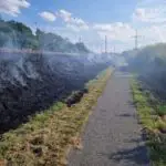 FW-LK Leer: Großeinsatz entlang der Bahnstrecke - 130 Einsatzkräfte bekämpfen Flächenbrände