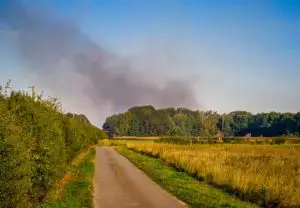 FW Lehrte: Waldbrand im Hämelerwald: 450 Einsatzkräfte bekämpfen Feuer auf über 20 Hektar Fläche