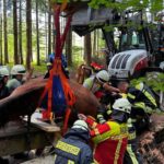 FW Bad Säckingen: Tierrettung – Pferd eingebrochen