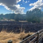 FW Bad Honnef: Erneuter großer Flächenbrand