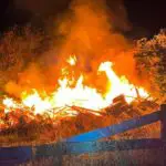 FW-KLE: Achtung, nur eine Übung - Feuerwehr probt für einen Waldbrand