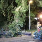 FW-ROW: Riesiger Ast versperrt in der Nacht Kreuzung in Oldenhöfen – Feuerwehren rücken aus
