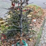 FW-E: Weihnachtsbaum geht in Flammen auf – Mutter und fünf Kinder leicht verletzt