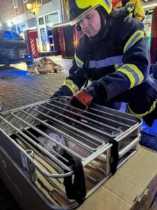 FW-NE: Wohnung im 3. OG in Vollbrand | Zwei Personen & zwei Katzen durch Feuerwehr gerettet