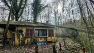 FW-BO: Entwurzelter Baum stürzt auf Haus