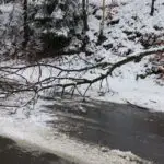 FW-EN: Fahrbahn durch Baum blockiert