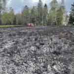 FW Horn-Bad Meinberg: Waldbrand zerstört 2 Hektar Wald- und Heidefläche – bis zu 150 Kräfte im Großeinsatz