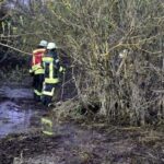 FW Lüchow-Dannenberg: Dreibeiniger Hund jagt Ente +++ verheddert sich im Uferbereich der Jeetzel im Gestrüpp +++ Feuerwehr rettet Hund