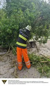 FW-M: Baum durchstanzt Pkw-Anhänger (Moosach)