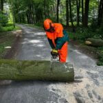 FW-Schermbeck: Baum auf Stromleitung