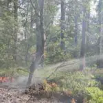 FW Celle: Vegetationsbrand im Lönsweg