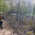 FW-MH: Feuerwehr löscht größeren Vegetationsbrand im Wittkamp Park