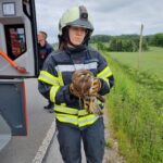 FW-EN: Feuerwehr fängt Bussard ein