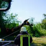 FW Flotwedel: Ortsfeuerwehr Bröckel rückt zu Nachlöscharbeiten nach morgendlichem Brand aus