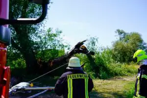 FW Flotwedel: Ortsfeuerwehr Bröckel rückt zu Nachlöscharbeiten nach morgendlichem Brand aus