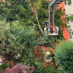 FW-M: Baum stürzt auf Mehrfamilienhaus (Untergiesing-Harlaching)